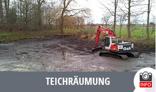 Teichräumung